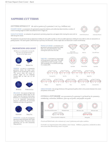 Sample 3D scan report reference page
